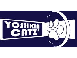 Yoshkin Cat's (команда фризби)