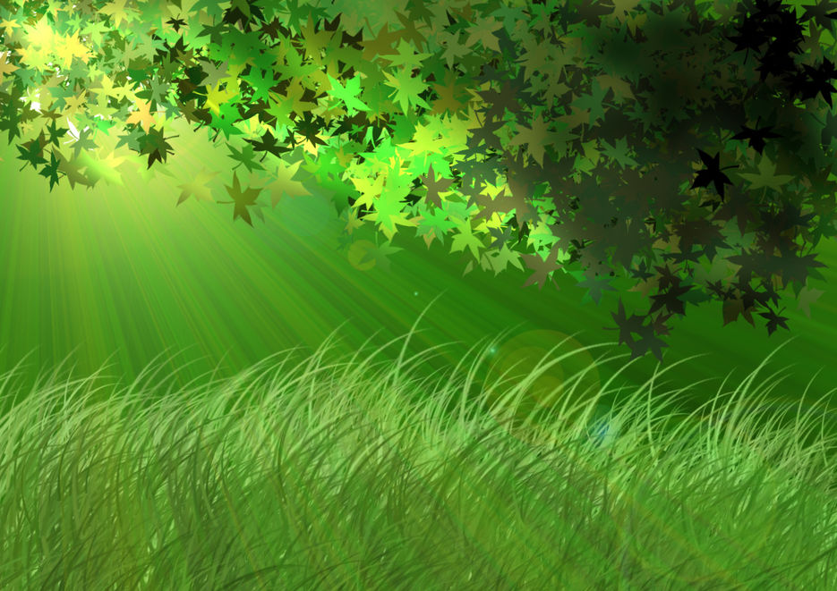 The forest's Sun.jpg