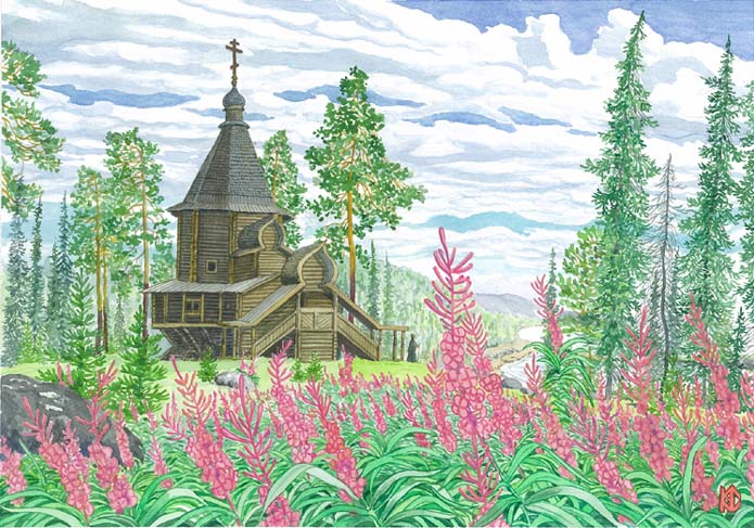 Кипрей (Иван-чай).jpg