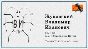 Именная визитная карточка.jpg