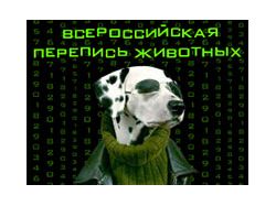 Баннер для www.ilovemypet.ru