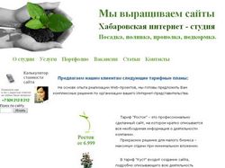 Сайт Хабаровской интернет - студии