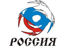 Дизайн логотипа