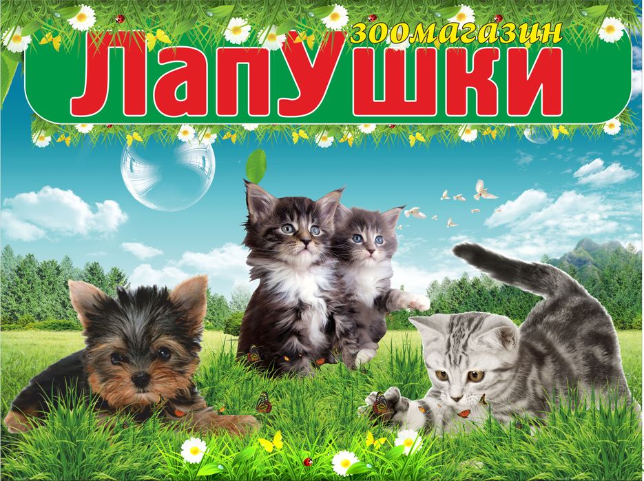 Зоомагазин ЛапУшка баннер.jpg