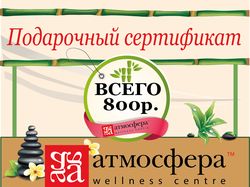 Евро Флаер фитнес-центра "Атмосфера"