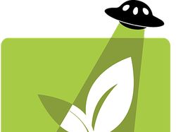 Логотип "Grow lights"