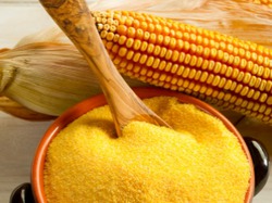 Кукурузная каша: польза и вред