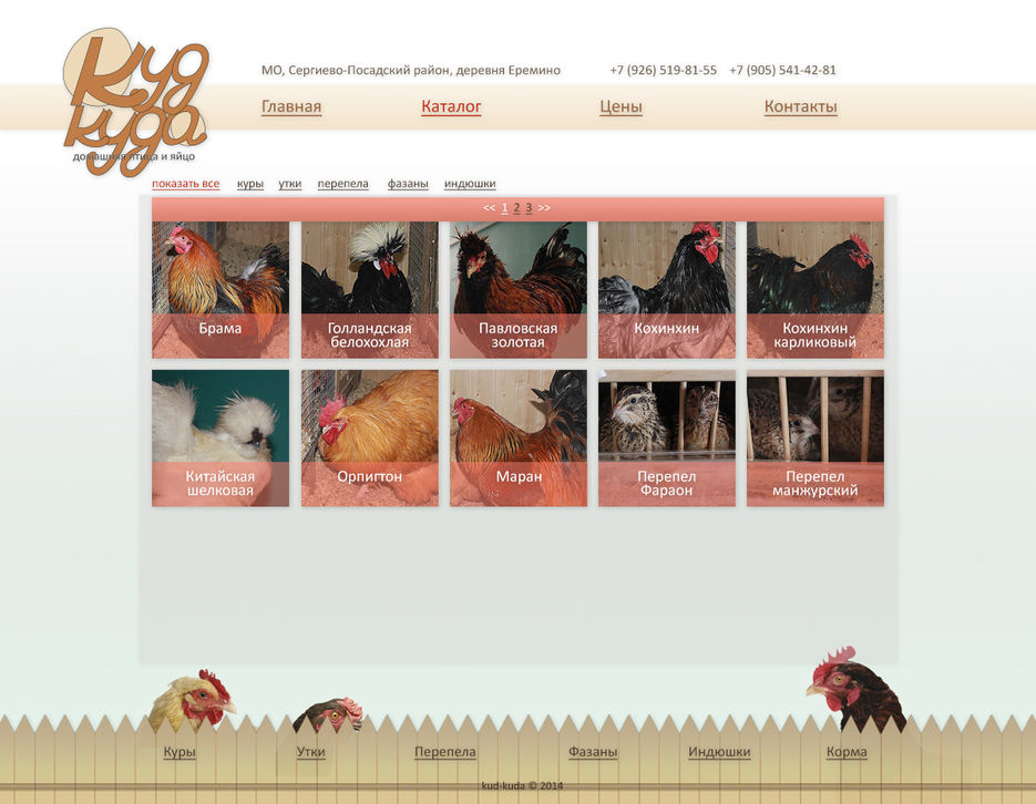 catalog.jpg