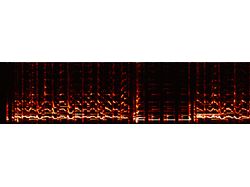 Программа анализа аудио - определение ритма музыки