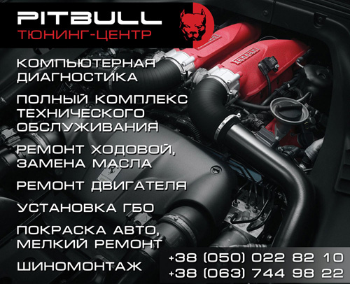 banner_pitbull.jpg
