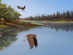 Анимация полета и охоты орлана для рыбного места