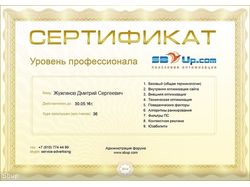 Сертификат SEO специалиста