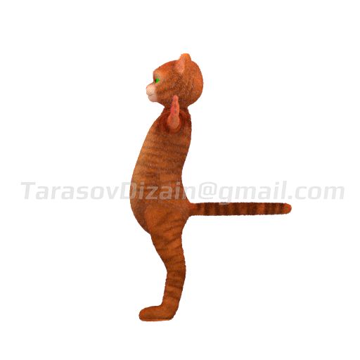 TEST-19.png