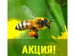 Баннер для пасеки