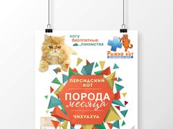 Плакат для ветеринарного центра "Рыжий Кот"
