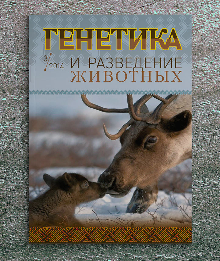 cover3.jpg