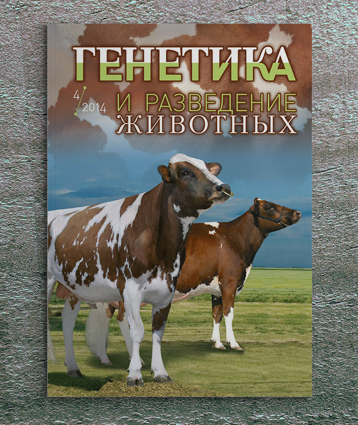 cover4.jpg