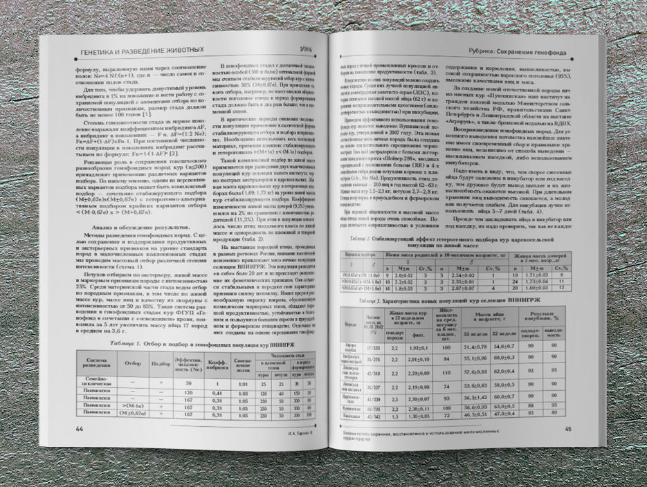 44-45.jpg