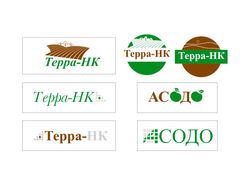 Логотип + фир. бланки для Терра и Асадо