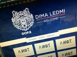 Portfolio for Dima Ledmi