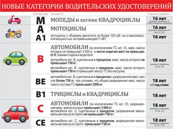 инфографика