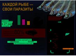 инфографика