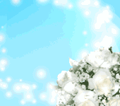 .gif