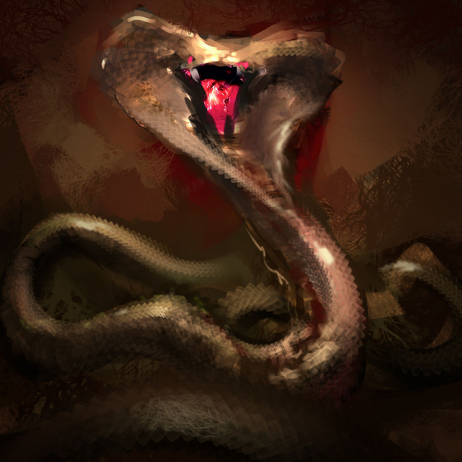 cobra2.jpg