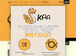 KAA infographics