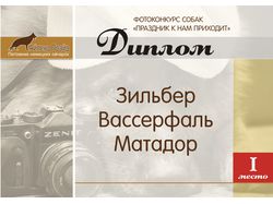 Диплом для фотоконкурса