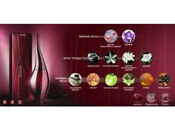 Презентационный диск Oriflame Enigma