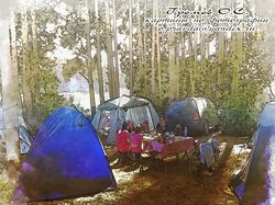 Делаю рисунки по фото - Отдых в лесу на Волге