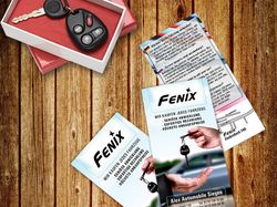 Fenix / Разработка дизайна флаера