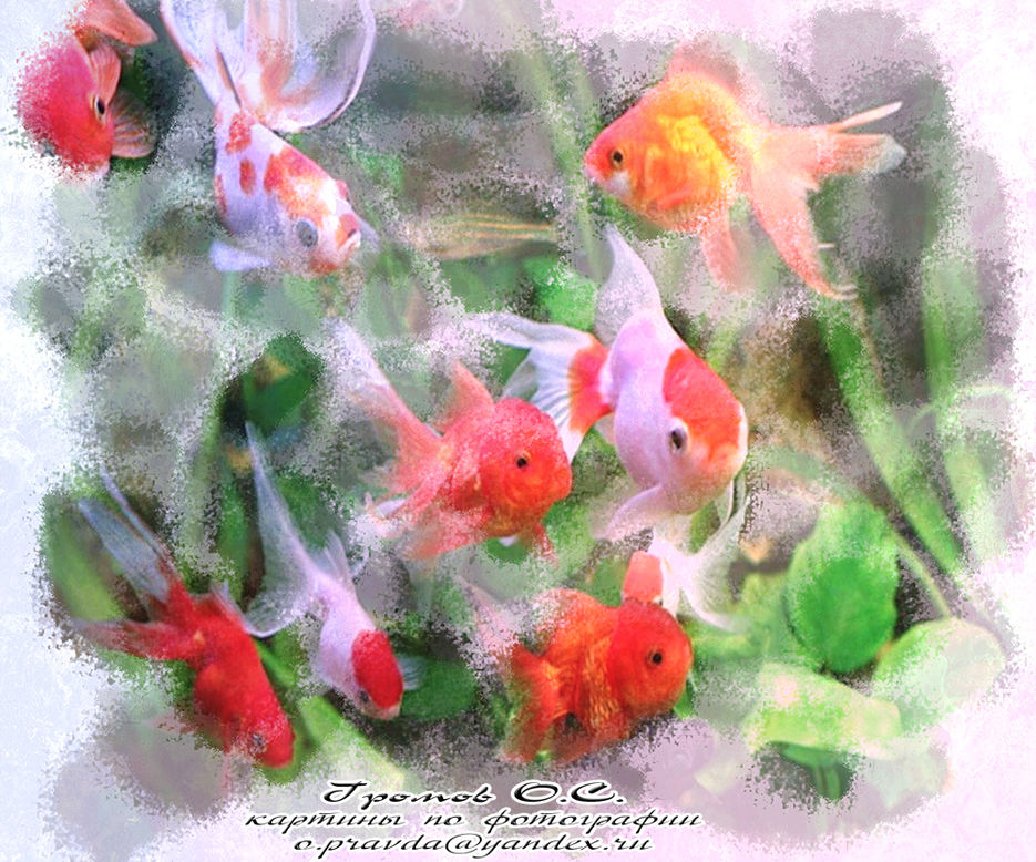 Акварель, Рыбки - рисунок для портфолио.jpg