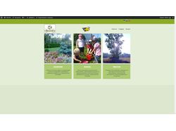 Сайт фирмы ландшафтного дизайна, экошколы, экоферм