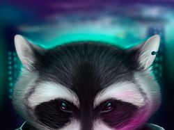 Raccoon gambler