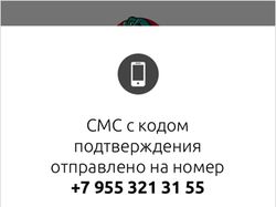 Интерфейс приложения-антиэвакуатора CrocoDie