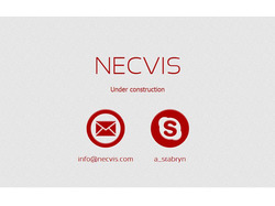 Название и домен IT компании - NECVIS