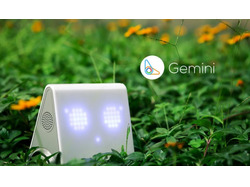 Новинка образовательной робототехники, робот Gemin