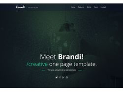 Landing Page «Brandi»