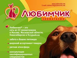 Для Любимчика, реклама в журнал Pets