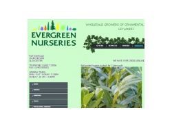 Evergreen Nurseries