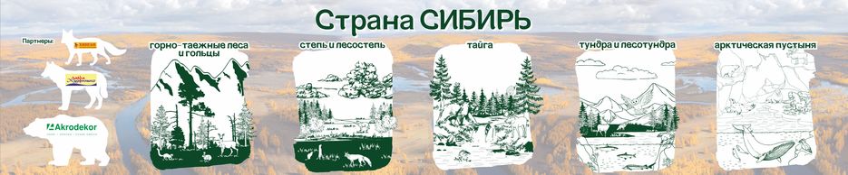 338_баннер-раскраска.jpg