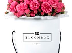 Bloombox Dublin - logo