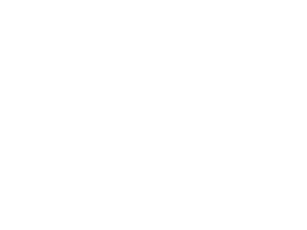 Animation-9.gif