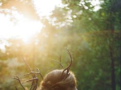 Soul forest