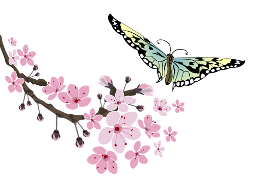 sakura_butterfly.png