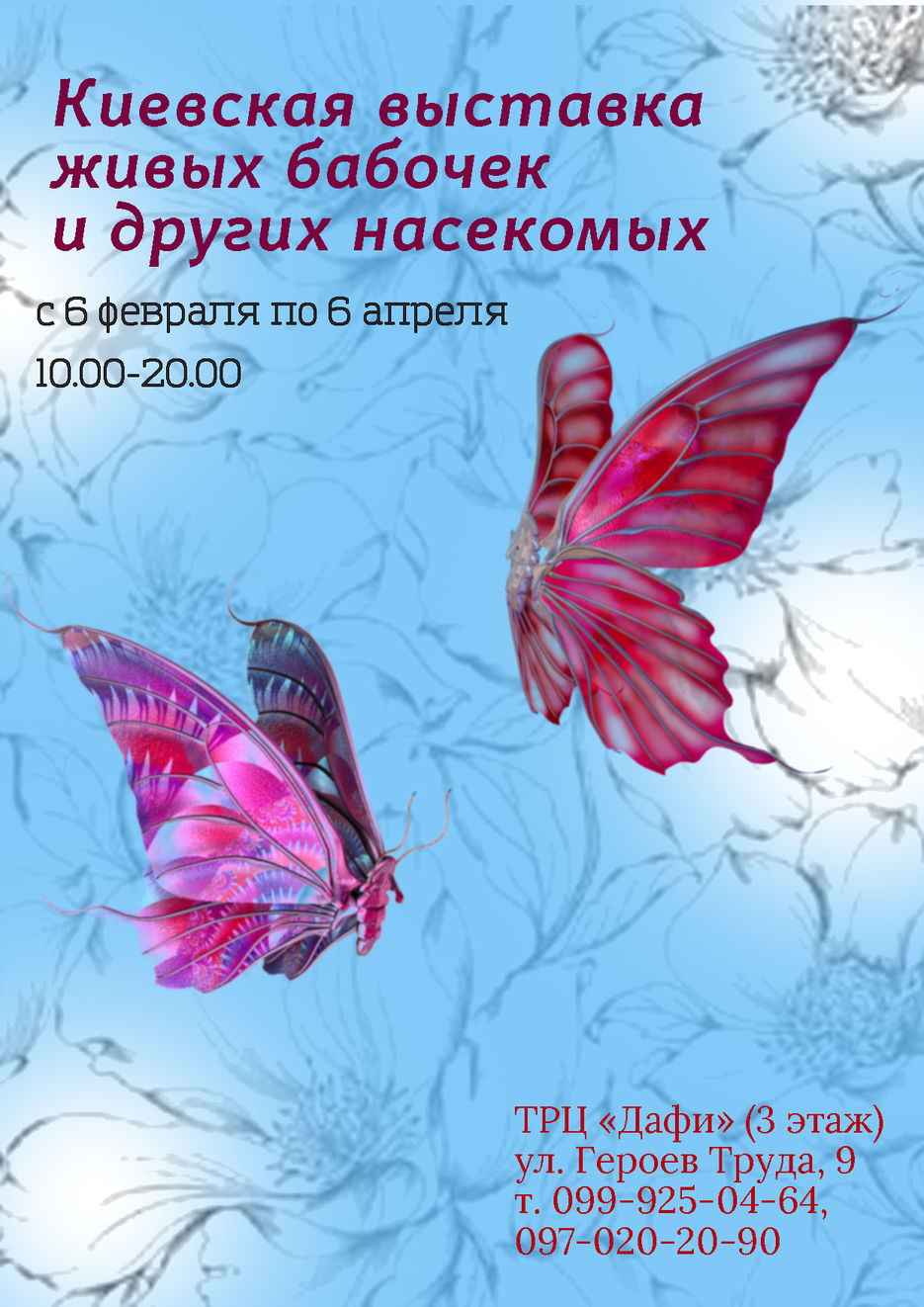 бабочка.jpg