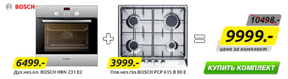 Bosch.jpg