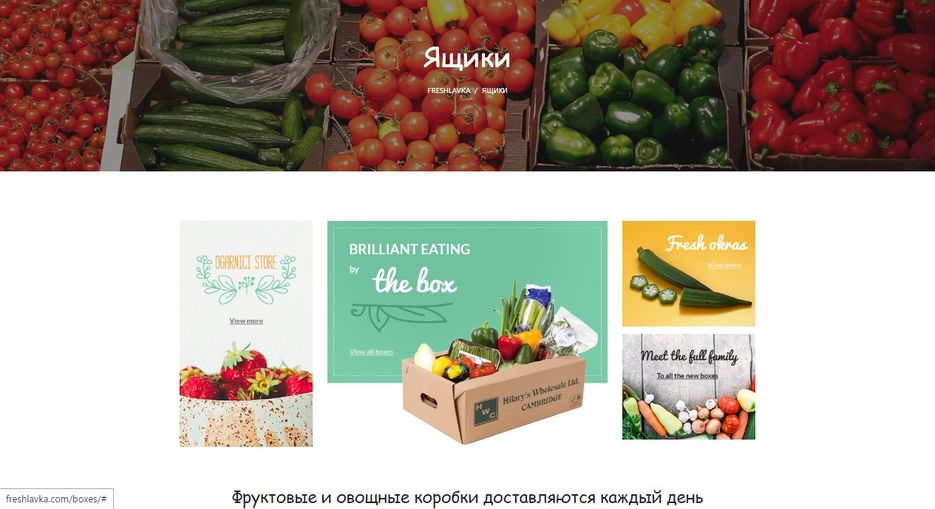 Фрешка3.jpg